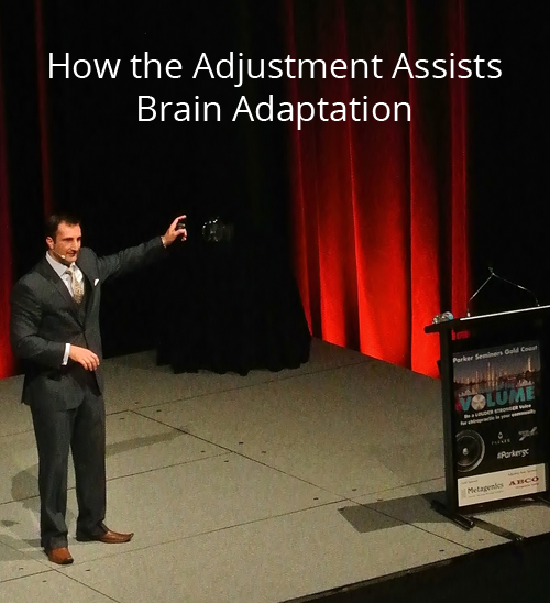 How the Adjustment Assists Brain Adaptation