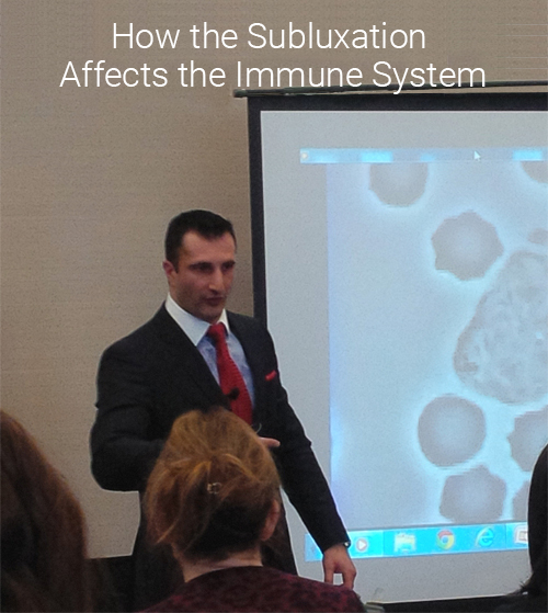 How the Subluxation Affects the Immune System